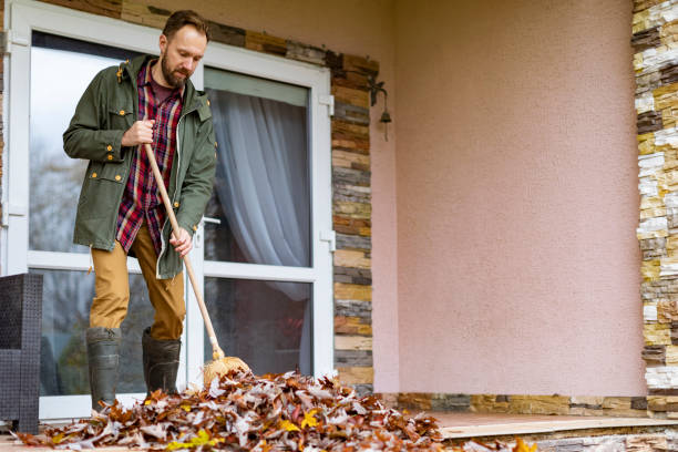 Basement Cleanout Services in Woodlyn, PA